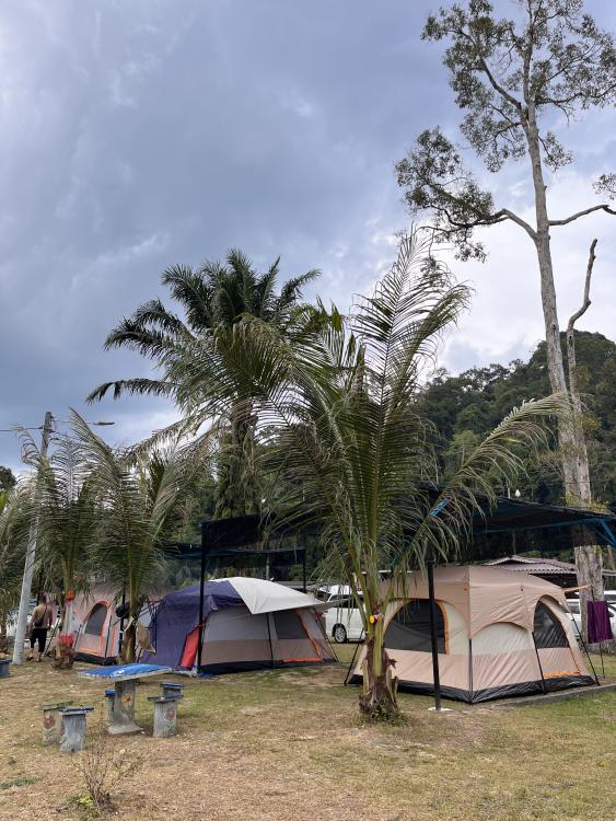 Camping Lot at Bentara Campsite
