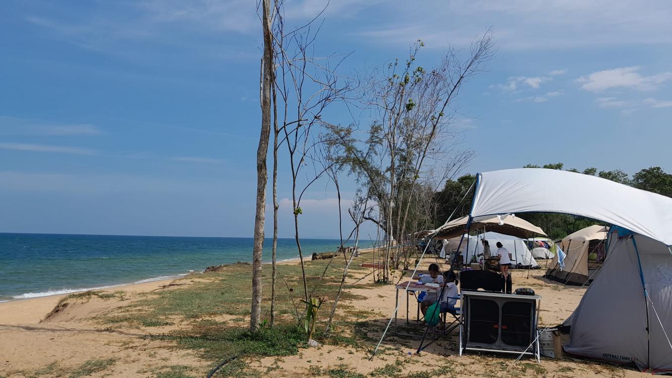 Large Tent Lot (Above 500cm) / Car Camping at Willow Tree Cherating