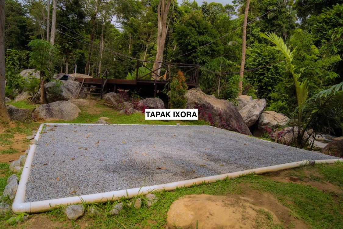 TAPAK IXORA at Amba Waterfall Campsite & Dangau