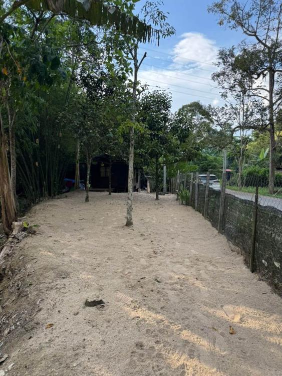 Camping - Tapak Tanjung at Dusun Dz