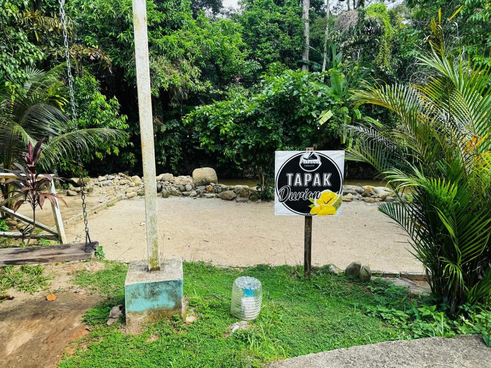 Riverside Camping Lot at Alfariq Campsite