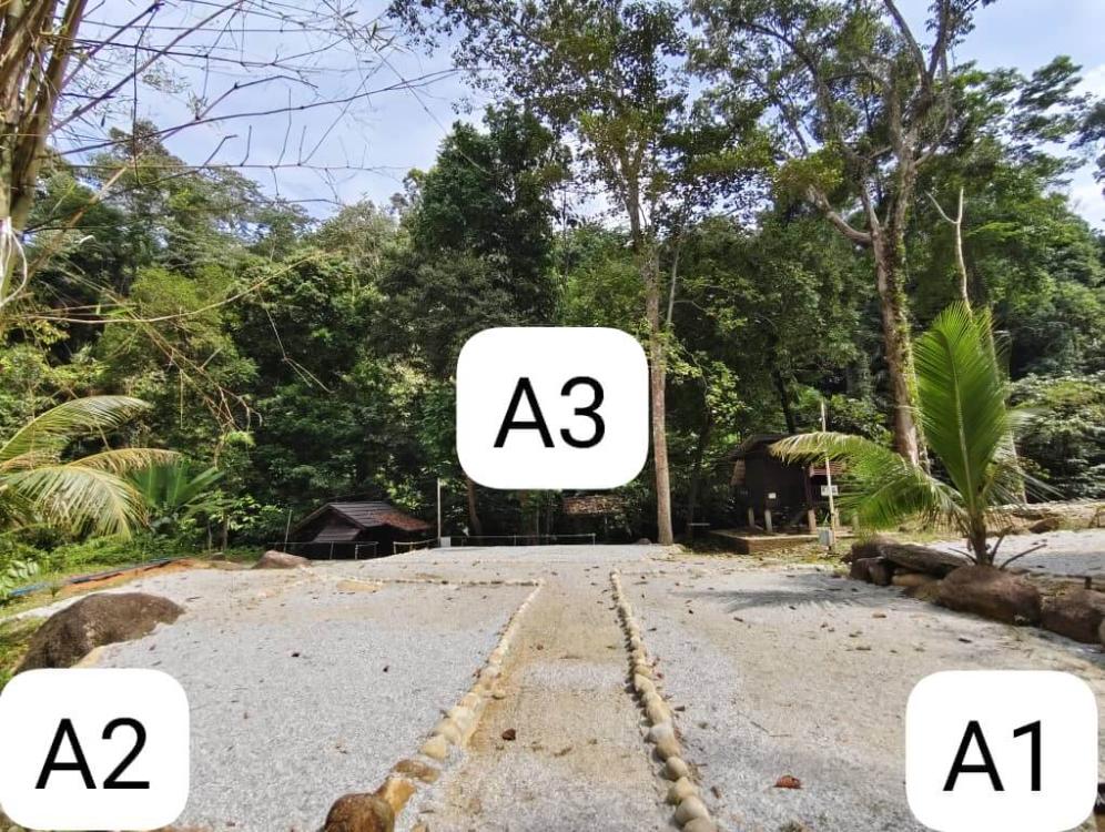 Zone A at Laman Rindu Campsite, Sg Bil