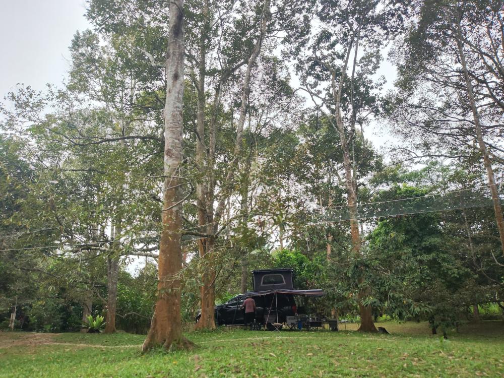 RTT (free zone) at Santai Dusun Campsite