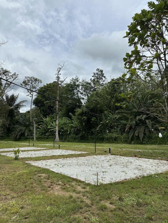 Camping Lot - Zone B at Sg Bil Garden Campsite