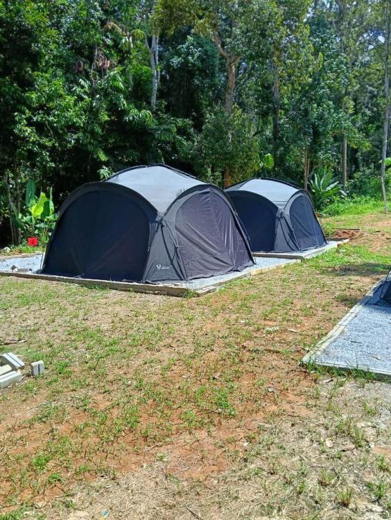 Camping (Ground Site) at Amazing Camp Legacy