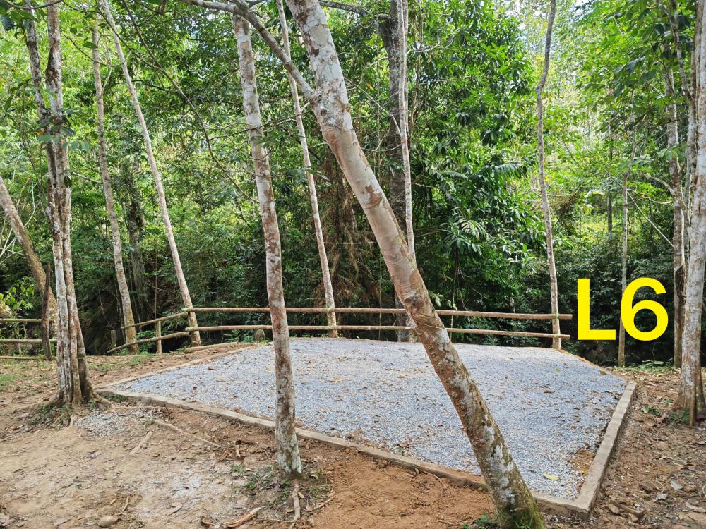 L Size Camping Lot (4 Pax) at Santai Dusun Campsite