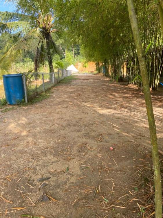 Camping - Zone B at Kebun Teras Dimensi