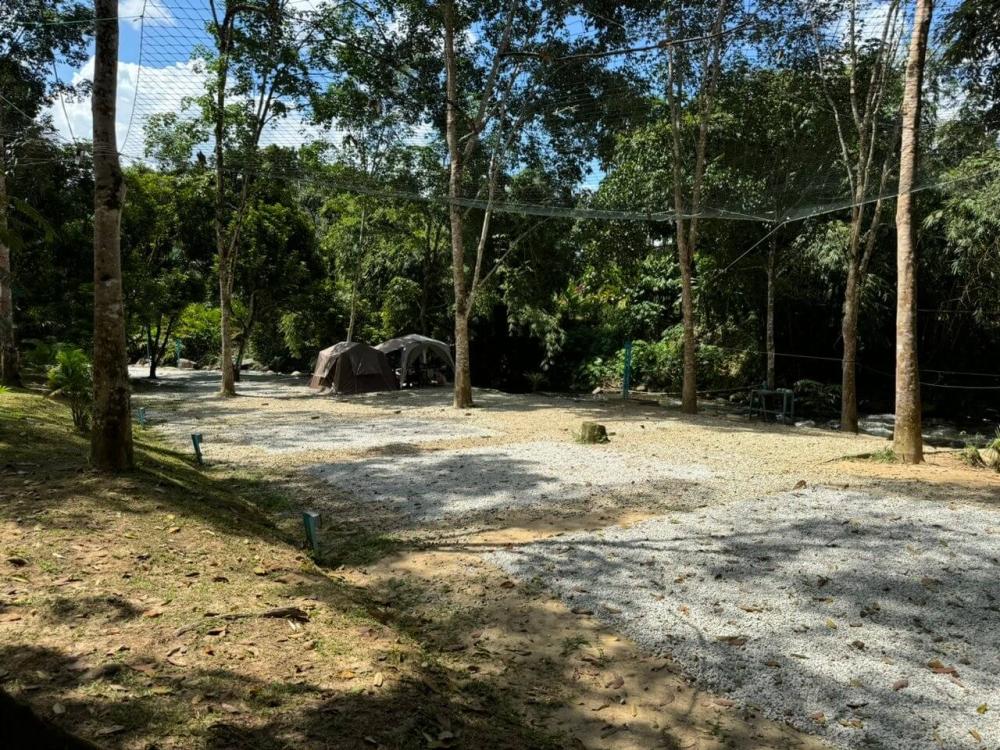Camping - Zone A at Tok Gindo Campsite