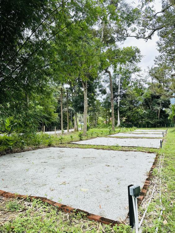 Camping Lot - Zone A at Sg Bil Garden Campsite