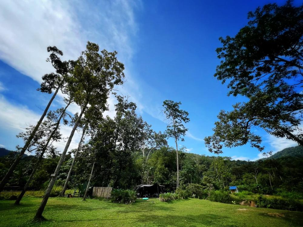 Tapak Khas at Masha And The Bear Garden & Campsite, Ulu Sepri